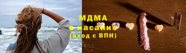 индика Алексин