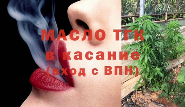 индика Алексин