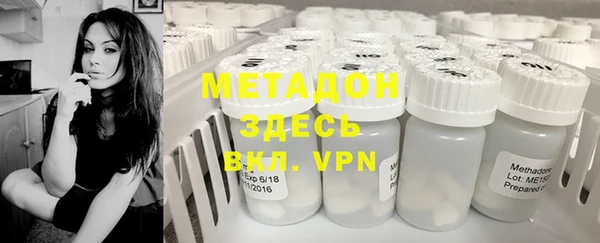 индика Алексин