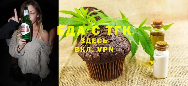 индика Алексин