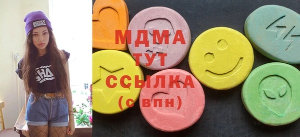 индика Алексин