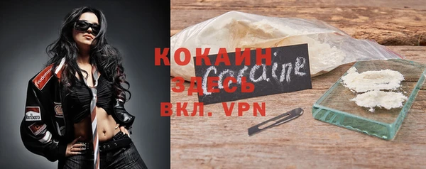 индика Алексин