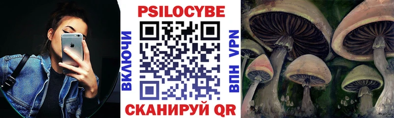 Псилоцибиновые грибы Psilocybe Артём